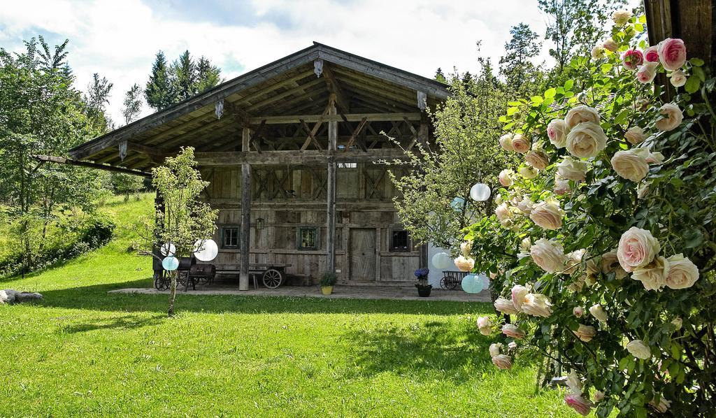 Steinbachhof Chiemsee Bernau am Chiemsee Phòng bức ảnh
